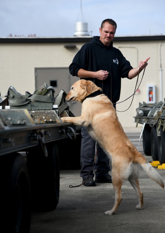 Alpena CRTC hosts canine handlers training