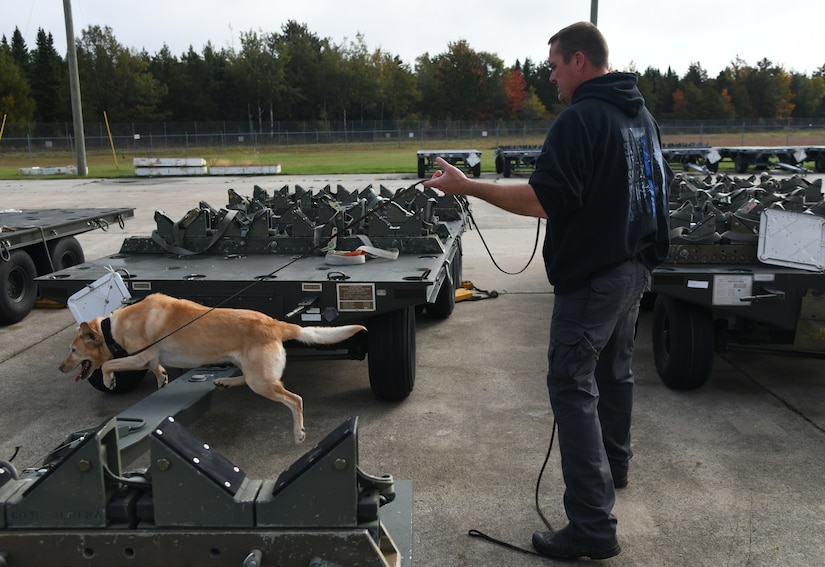 Alpena CRTC hosts canine handlers training