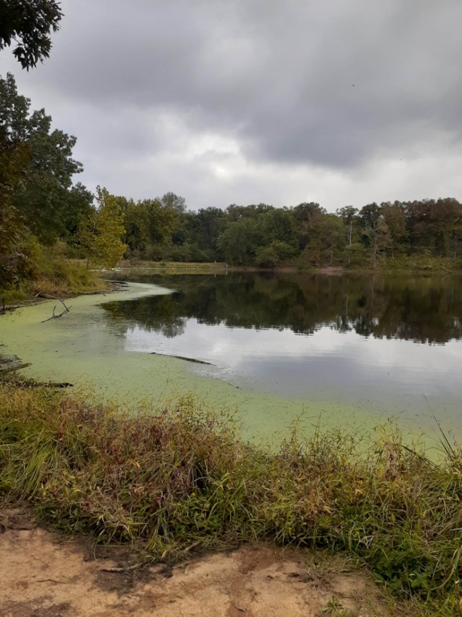 A mossy lake with two Airmen walking along the shore in the distance.