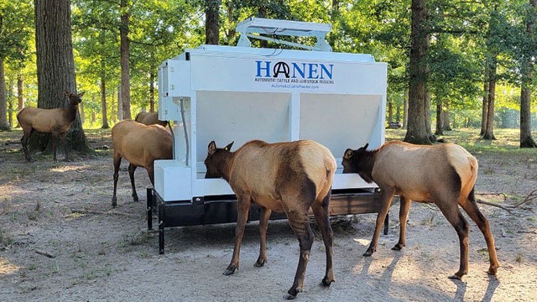 Bellwood Elk get annual checkup, new feeding trough