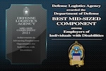 Graphic with verbiage: Defense Logistics Agency awarded the Best Mid-Sized Component among employers of individuals with disabilities.