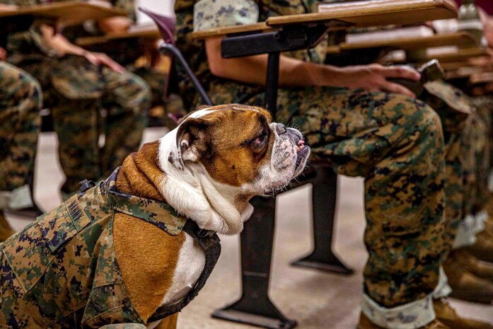 (U.S. Marine Corps photo by Cpl. Grace J. Kindred)