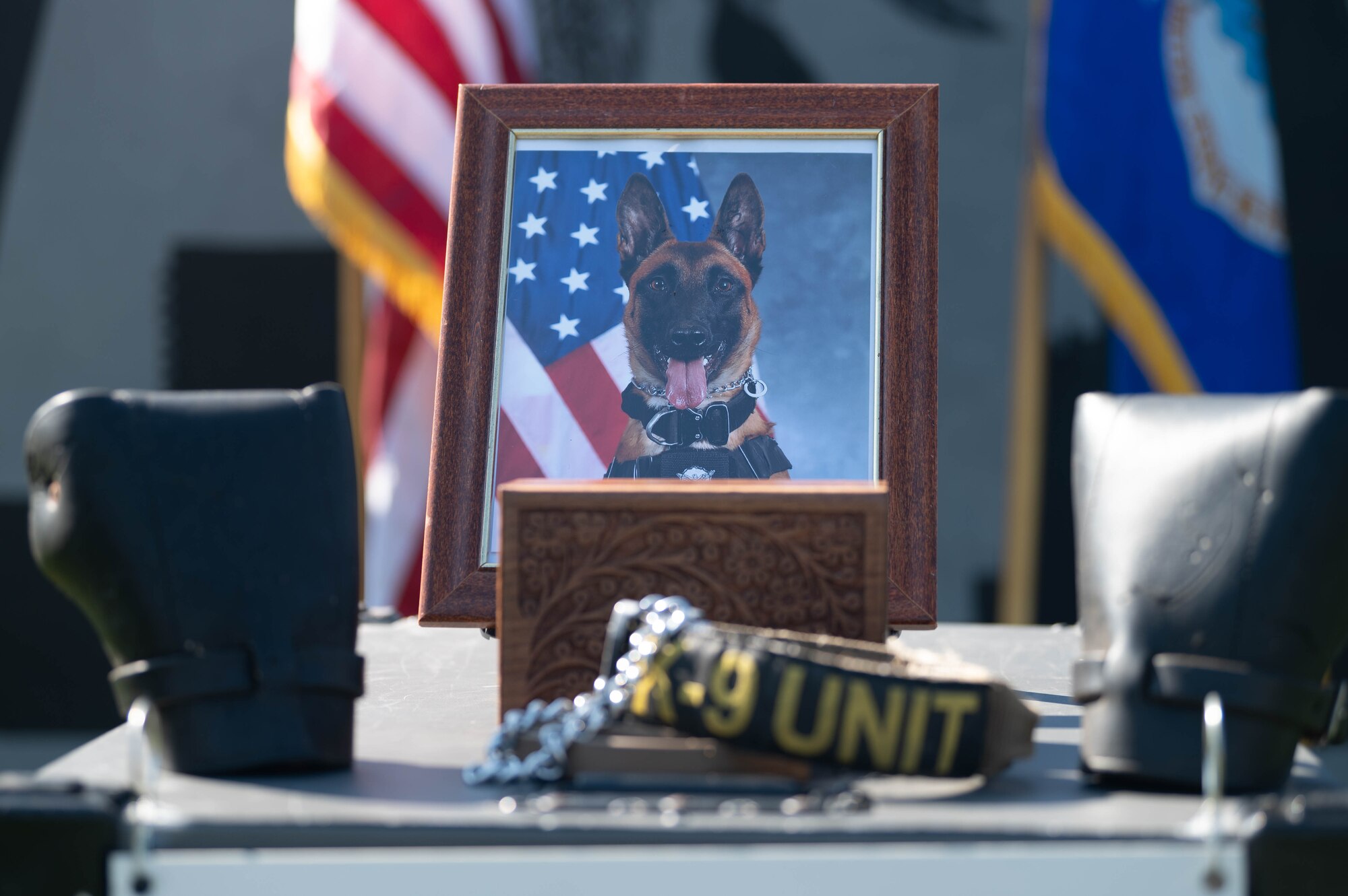 Close up of portrait of deceased military working dog at military  memorial.