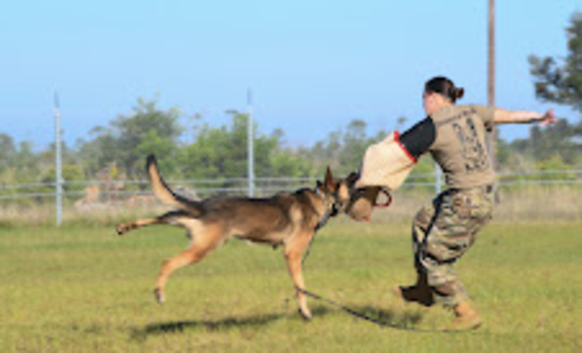 U.S. Air Force Senior Airman Brianna Irven is bit on her protective gear during a military working dog demonstration.