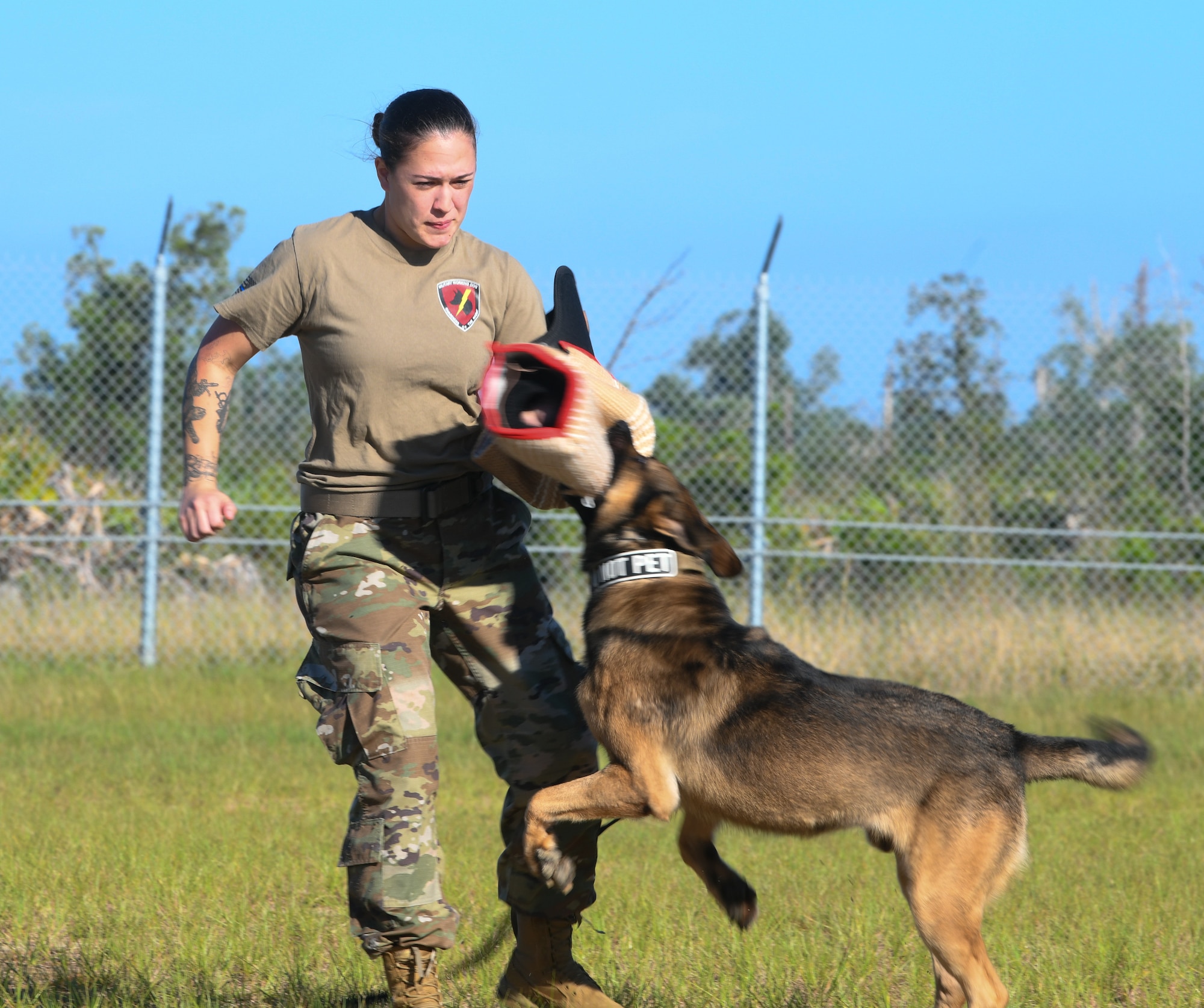 U.S. Air Force Senior Airman Brianna Irven is bit on her protective gear by a military working dog during a demonstration.
