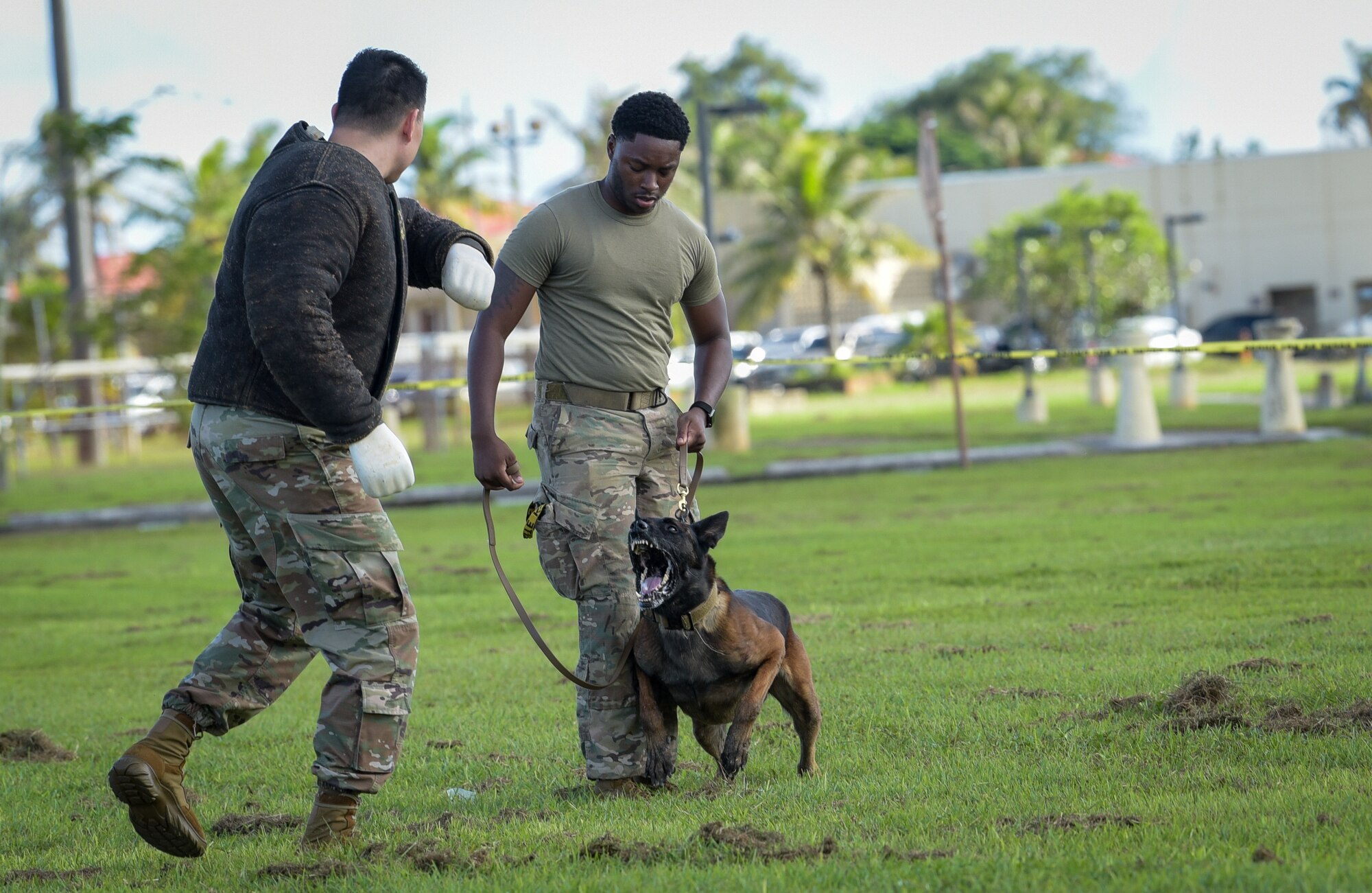 U.S. Air Force Col. David Aragon, 36th Wing vice commander, gets bit by a military working dog during a MWD demonstration at Andersen Air Force Base, Guam, Oct. 18, 2021.