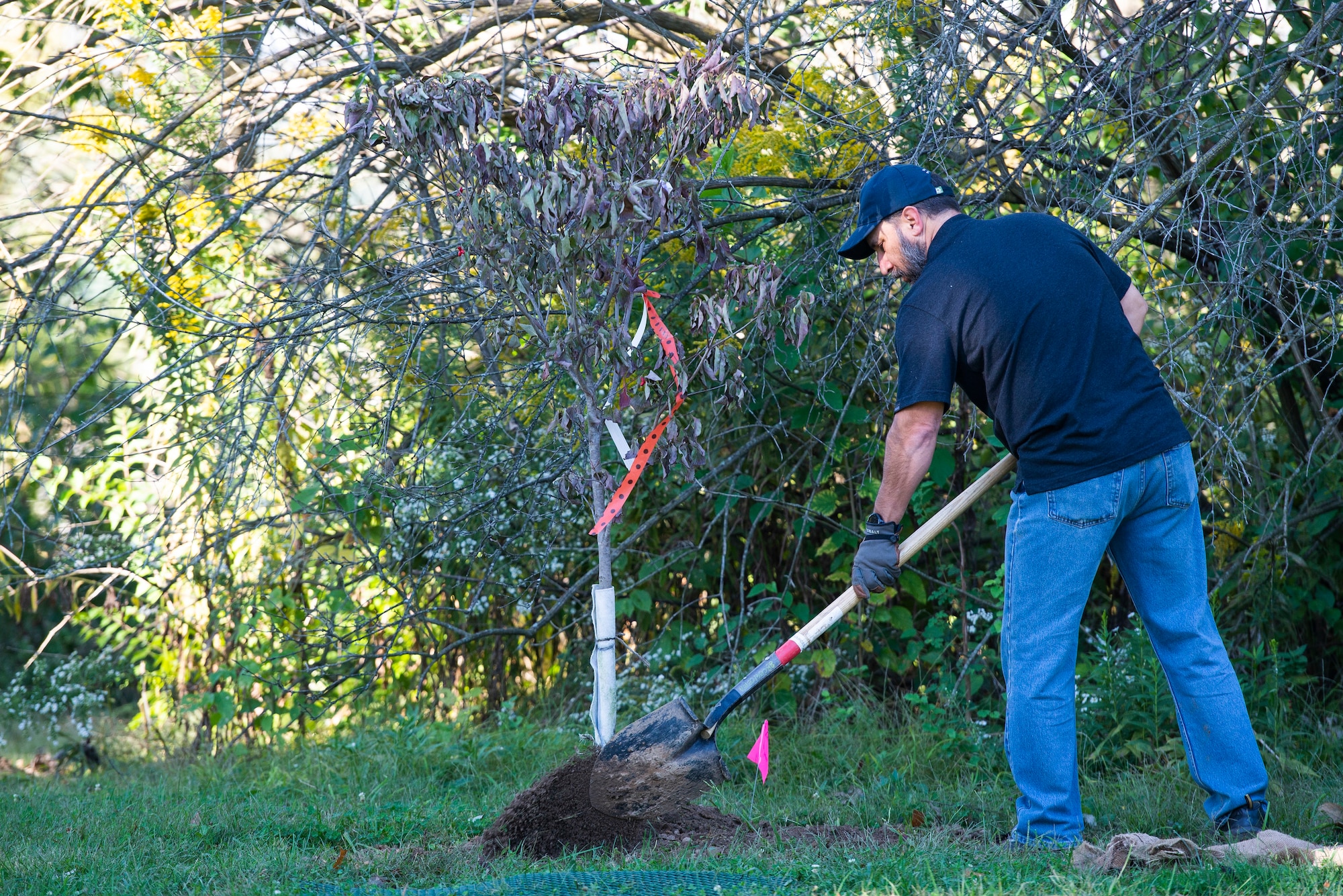 A volunteer shovels dirt into a hole during 88 FSS tree planting