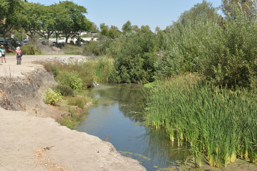 The Corps challenge of restoring the Aliso Creek riparian zone was tempered by its proximity to a century of urban development. After removing tons of invasive grasses and plants, the zone is now a flourishing wildlife habitat.