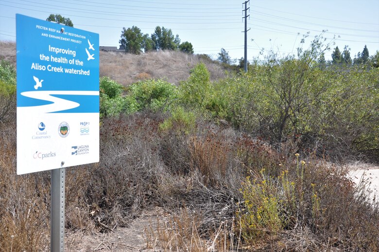 The Corps challenge of restoring the Aliso Creek riparian zone was tempered by its proximity to a century of urban development. After removing tons of invasive grasses and plants, the zone is now a flourishing wildlife habitat.