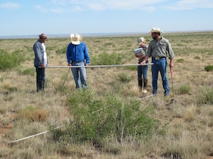 A natural resource crew inspects an area of invasive Honey Mesquite shrubs in the training area of Melrose Air Force Range in Eastern New Mexico. Air Force natural resource specialists are currently addressing the invasive species problem using a variety of methods including the Native Seed Program which reintroduces native seeds and plants to the range to improve the usability of the 70,000-acre training area.