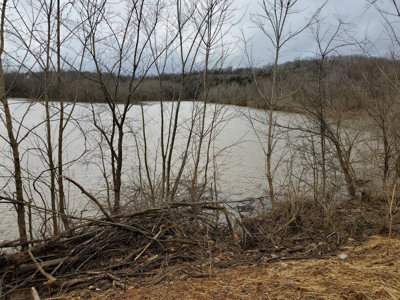 Current appearance of project site