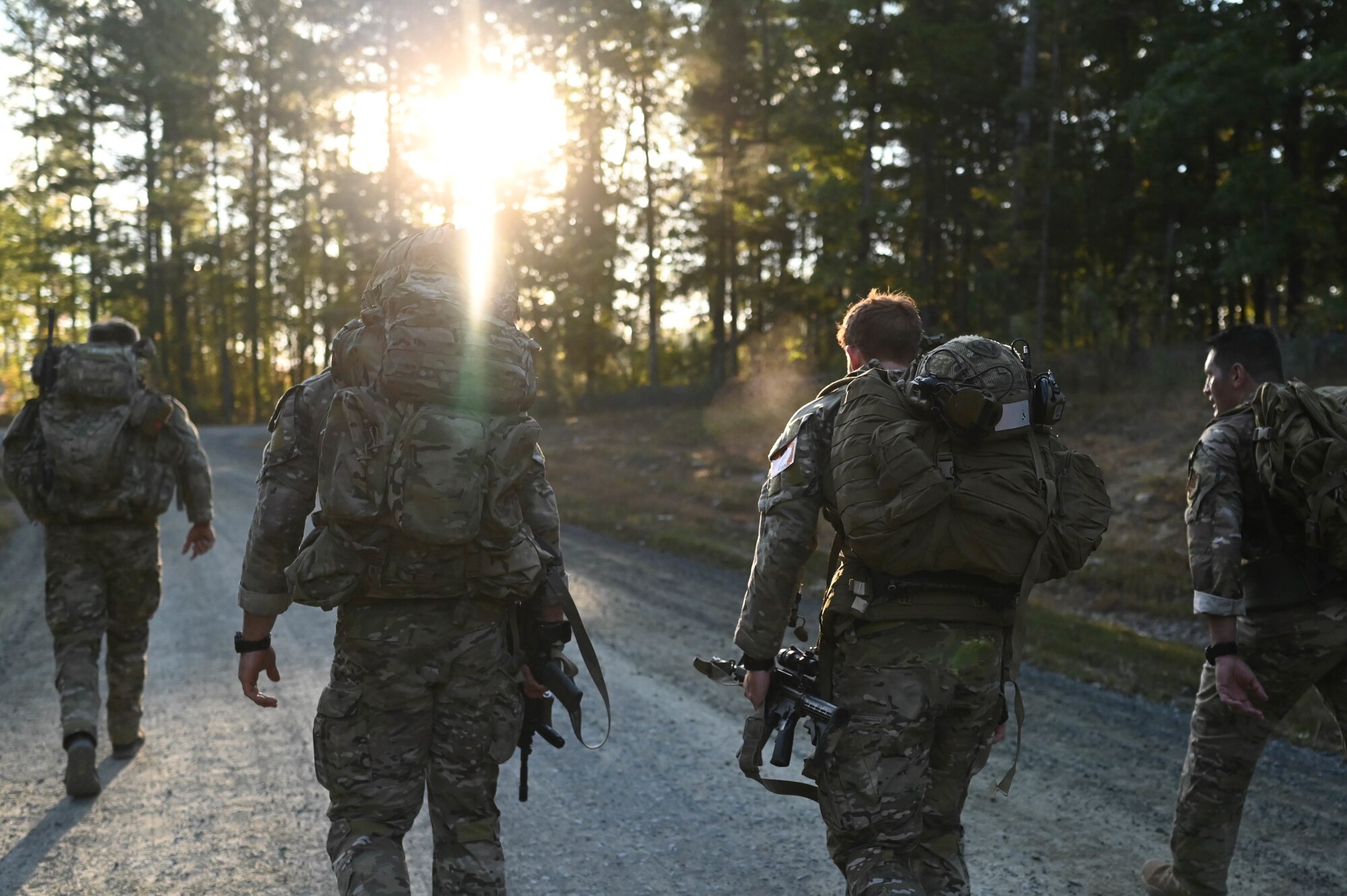 people walking in the woods