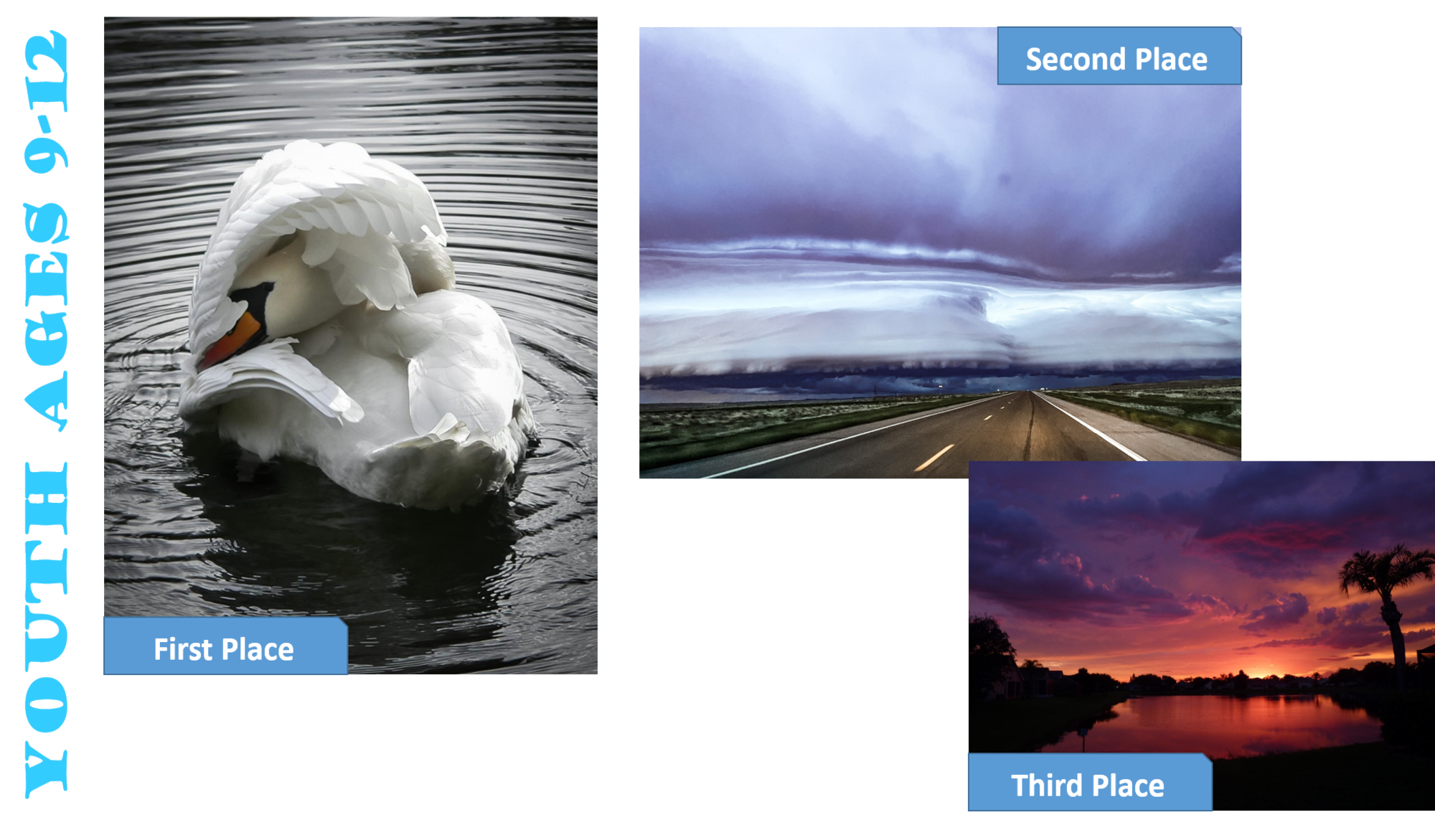 Youth 9-12 years -- First Place (left) "Please No Paparazzi" by Lucy Lyons, RAF Alconbury, United Kingdom; Second Place (middle) "The Storm" by Hayden Richardson, Fairchild AFB, Wash.; and Third Place (bottom right) "Sunset” by Collin Oler, Patrick AFB, Fla.