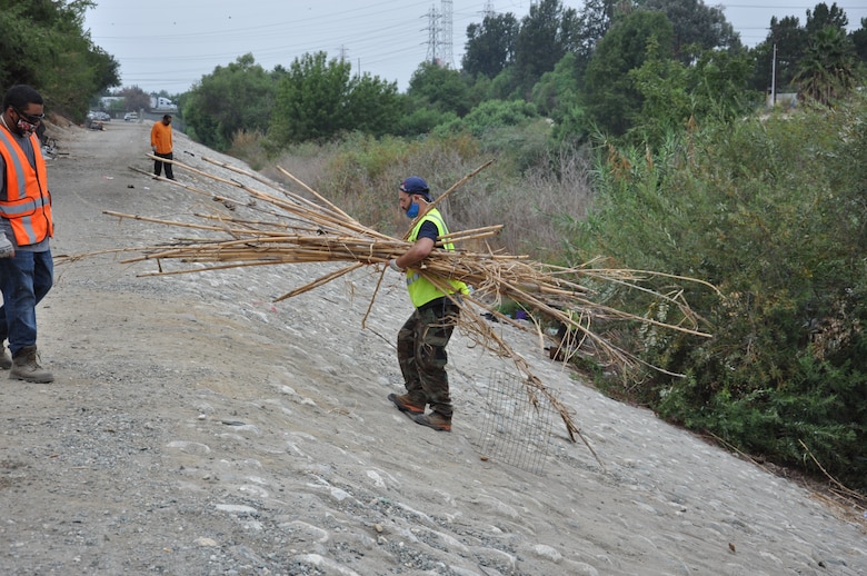 A worker carries a bundle of Arundo donax, an invasive giant reed that can grow a foot or more daily. Arundo was used in the encampments as a construction material for makeshift fencing and huts. A total of 575 tons of debris were removed during the two-week project. The U.S. Army Corps of Engineers Los Angeles District cleared about 120 acres of San Jose Creek and San Gabriel riverbanks.