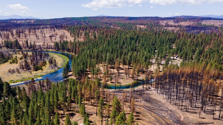 A section on southern Oregon forest shows the aftermath of the wildfires that ripped through the state in September and October of 2020.