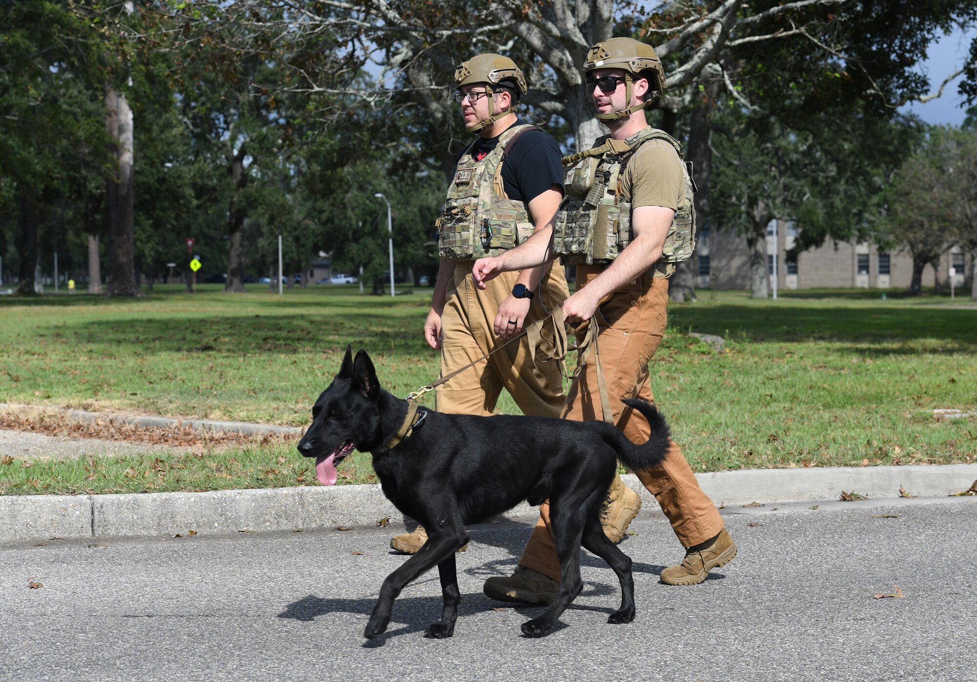 U.S. Air Force Staff Sgts. Cody Garton and Ryan Duggan, 81st Security Forces Squadron military working dog handlers, and Bbasso, 81st SFS military working dog, prepare to conduct a perimeter sweep outside the Taylor Logistics Center during an active shooter exercise at Keesler Air Force Base, Mississippi, Oct. 21, 2021. The scenario included an active duty Air Force member who simulated open fire in order to test the base's ability to respond to and recover from a mass casualty event. (U.S. Air Force photo by Kemberly Groue)