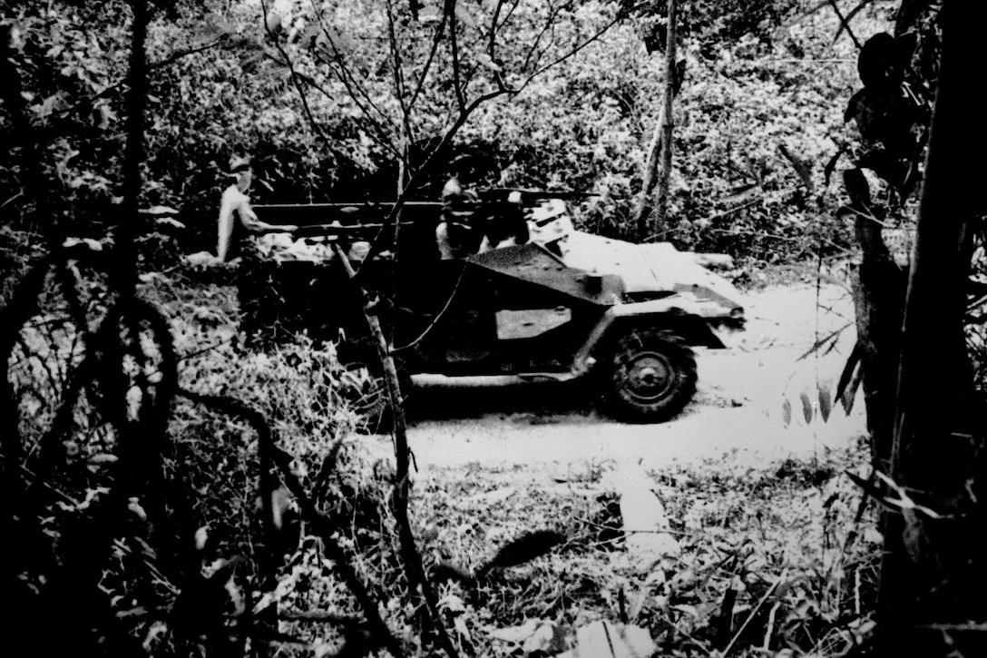 A vehicle moves along a jungle path.