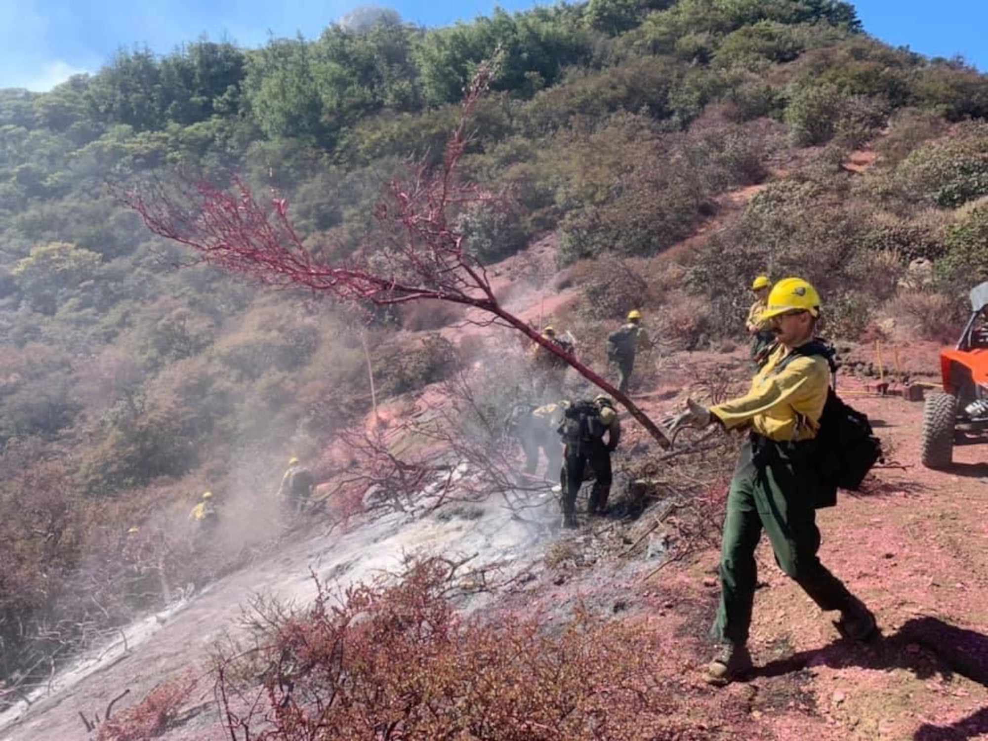 Firefighters assigned to the 30th Civil Engineer Squadron help contain the Alisal Fire Oct. 11, 2021, at Los Padres National Forest in Goleta, Calif. The Firefighters cut down dead trees and sifted the ground to help contain the wildfire. (Courtesy photo)