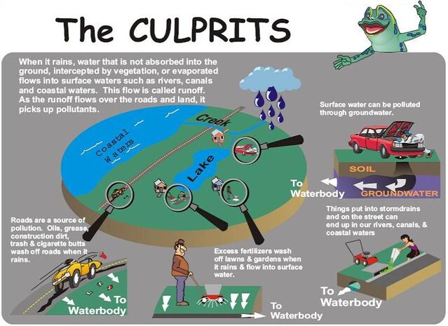 When storm drains get clogged, storm water collects in the streets and can become a traffic hazard. Yes, they are fun to splash in, but they can be dangerous to drive through and local governments have to send out crews to unclog the storm drains, costing money that could otherwise be used to buy playground equipment, fire trucks, or perhaps to hire extra policeman.