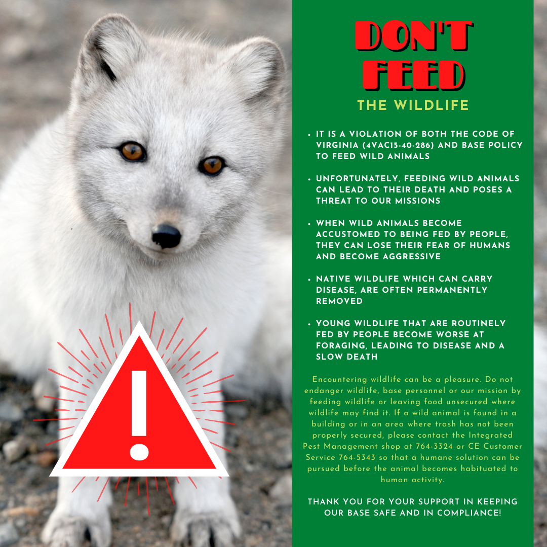 Professionals warn against feeding wildlife > Joint Base LangleyEustis