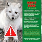 Graphic containing information on why individuals should not feed wildlife on military installation.