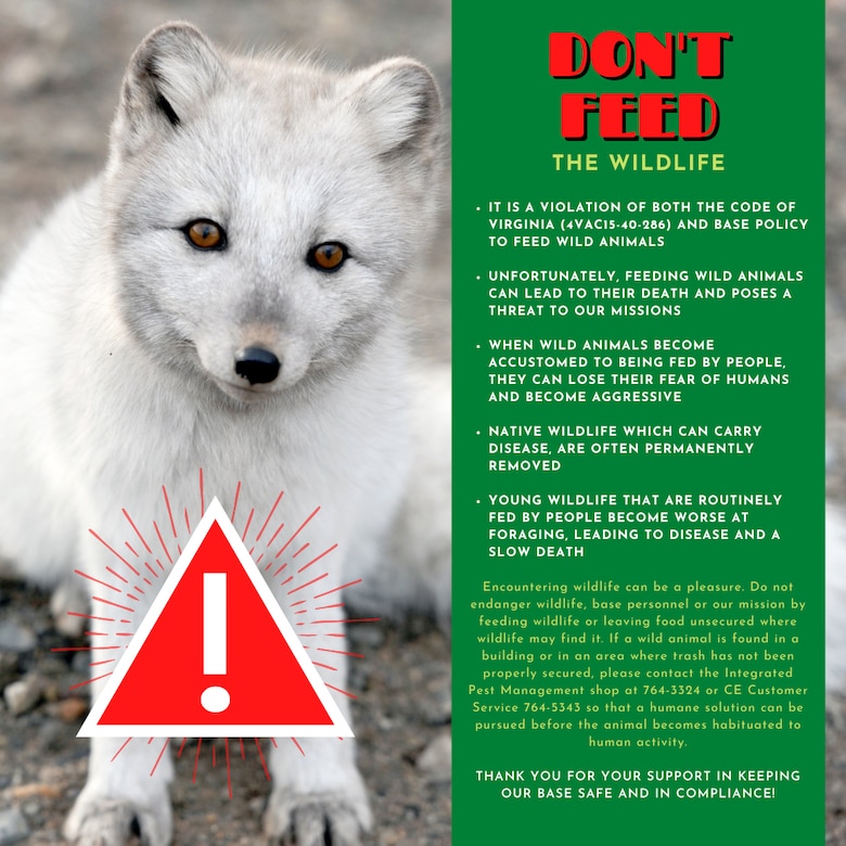 Graphic containing information on why individuals should not feed wildlife on military installation.