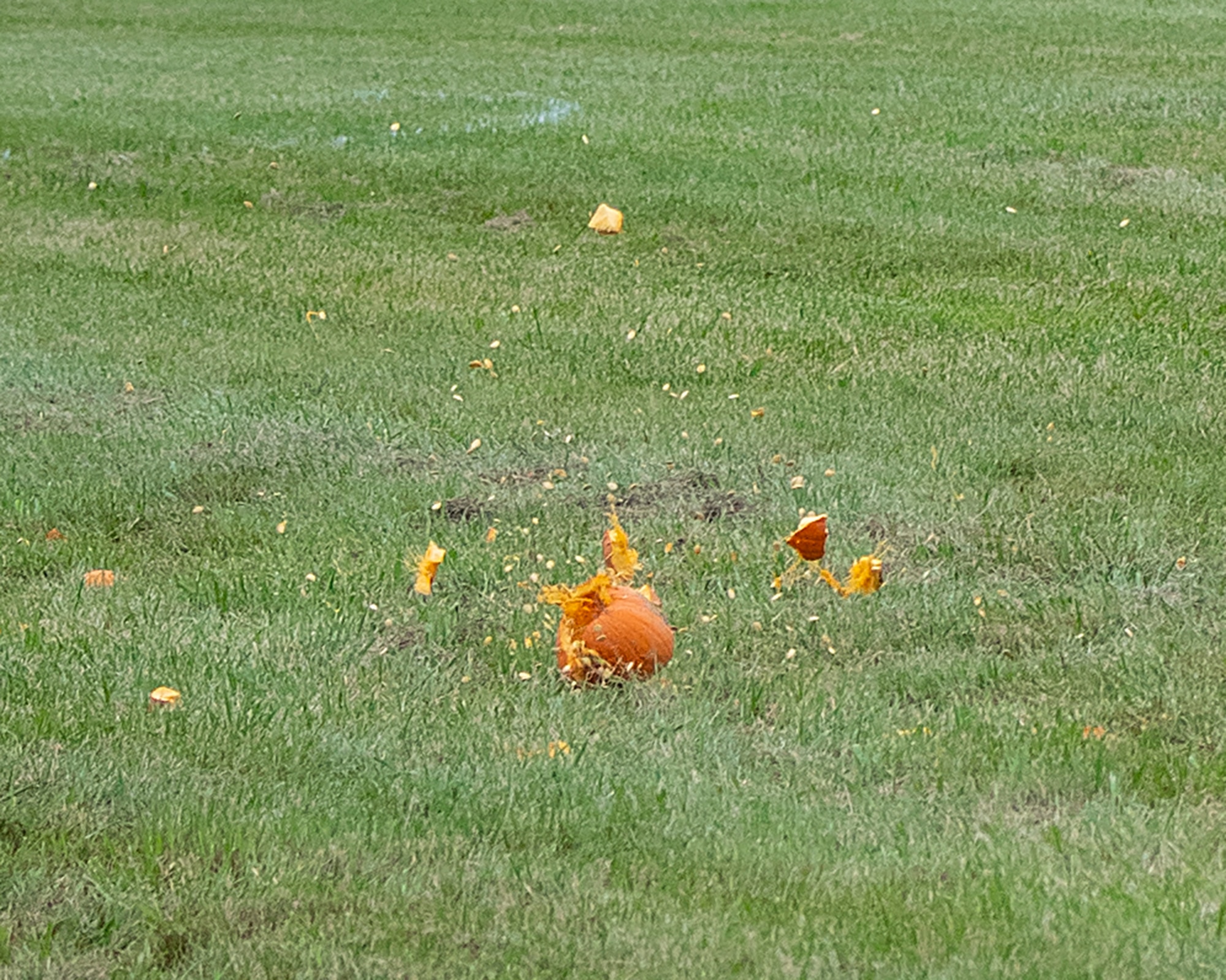Pumpkin pieces and seeds fly as one lands downrange Oct. 22, 2021, during the 16th Annual Pumpkin Chuck at Wright-Patterson Air Force Base, Ohio. (U.S. Air Force photo by R.J. Oriez)