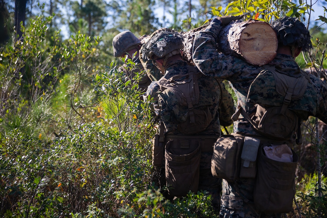 U.S. Marines with Engineer Platoon, 1st Battalion, 2d Marine Regiment, 2d Marine Division, carry a log during the Expeditionary Military Trails Project at Camp Lejeune, N.C., Oct. 27, 2021. The Marines utilized the newly-fielded equipment gaining proficiency in constructing combat expedient roads and providing obstacle clearance for moving troops and logistics throughout a contested environment. (U.S. Marine Corps photo by Lance Cpl. Reine Whitaker)