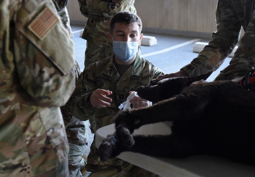U.S. Army Capt. William Ciancarelli (center), Public Health Activity-Fort Belvoir chief, JB Andrews Veterinary Branch, teaches Airmen about military working dogs during the Malcolm Grow Medical Clinics and Surgery Center Fair at Joint Base Andrews, Md., Oct. 26, 2021.