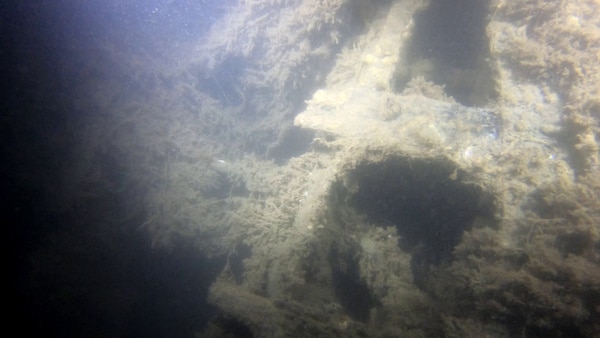 Exposed wing frame elements on the wreck