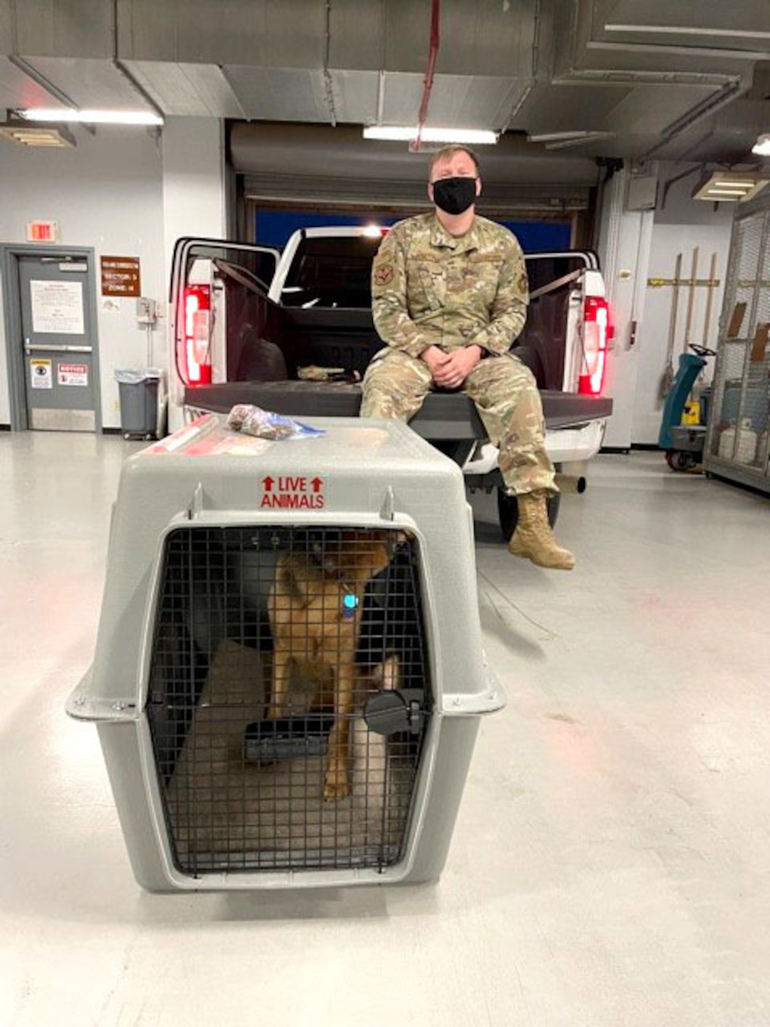 TSgt. Frank Padeway poses with a dog.