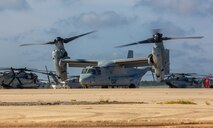 United States Marines with 2nd Marine Aircraft Wing, II Marine Expeditionary Force, prepare to board MV-22B Ospreys to deploy to Haiti in support of Joint Task Force-Haiti.