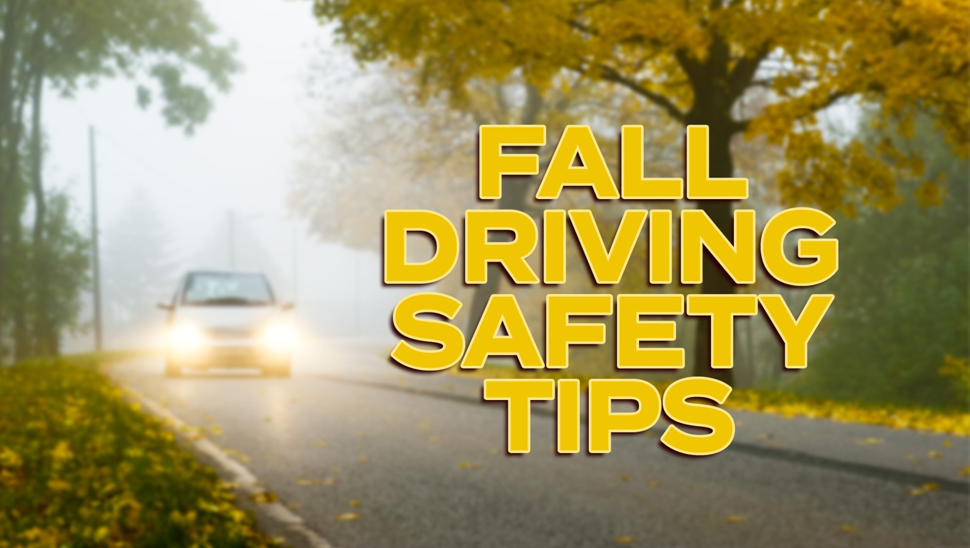 driver safety topics