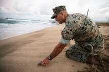 U.S. Marine Corps Col. Speros Koumparakis, commanding officer, Marine Corps Base Hawaii, prepares to release a baby sea turtle during an excavation at Fort Hase Beach, Marine Corps Base Hawaii, July 26, 2021. The natural wildlife and landscape is a precious resource to both MCBH and the people of Hawaii, and we take seriously our stewardship role of protecting these resources. (U.S. Marine Corps photo by Lance Cpl. Samantha Sanchez)