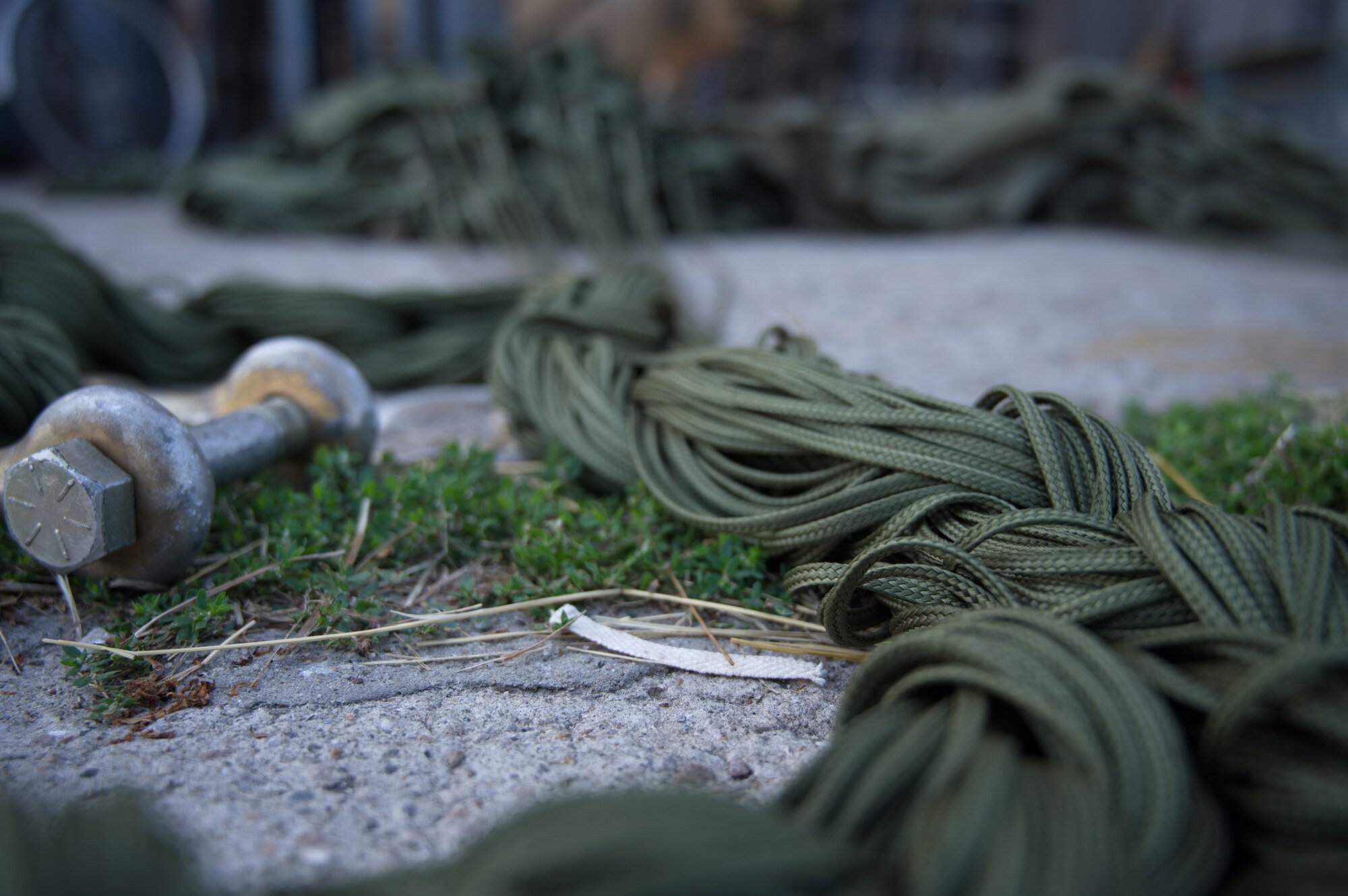 Parachute cord.