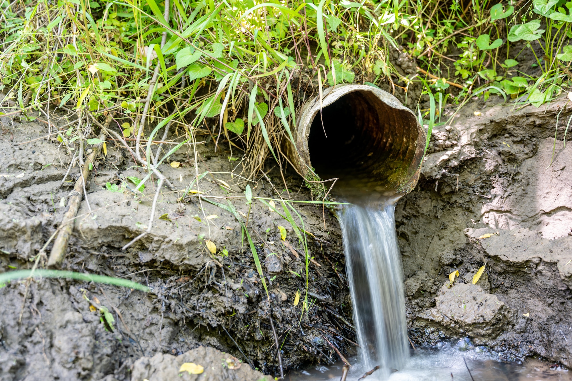 Photo shows water running out of a pipe into the ground