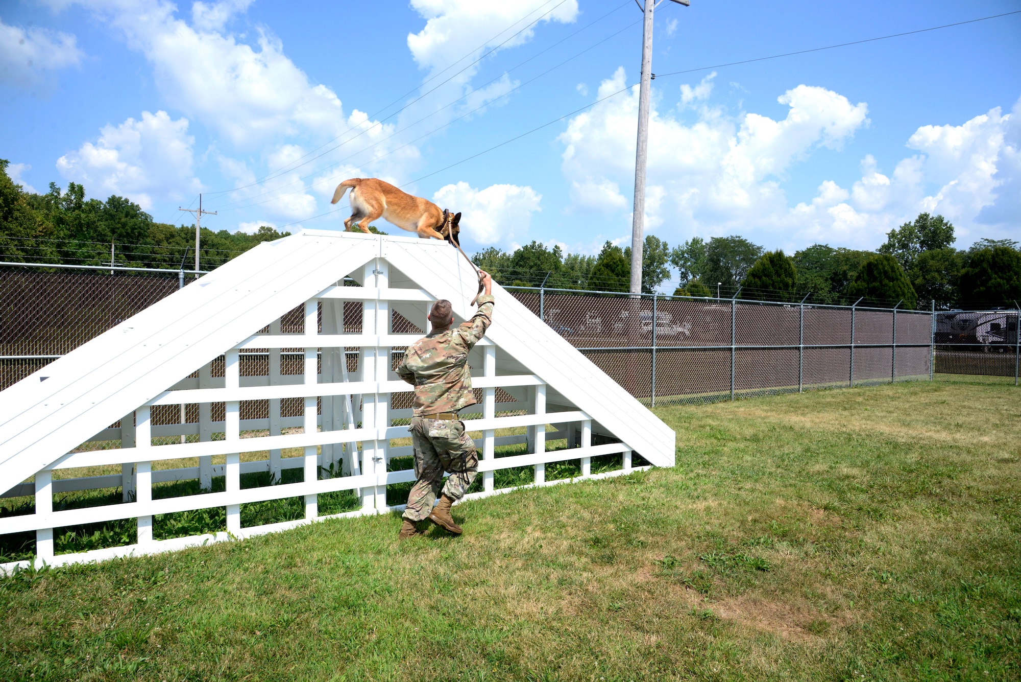 Mesha, a military working dog with the 88th Security Forces Squadron, is led over stairs Aug. 18 by her handler, Staff Sgt. Matthew Watkins, on the new obstacle course at Wright-Patterson Air Force Base. (U.S. Air Force photo by Airman 1st Class Jack Gardner)