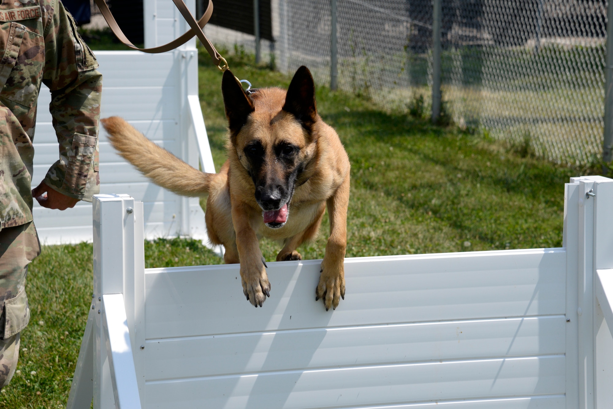 Mesha, an 88th Security Forces Squadron military working dog, and her handler, Staff Sgt. Matthew Watkins, run through hurdles Aug. 18 on the new MWD obstacle course at Wright-Patterson Air Force Base. (U.S. Air Force photo by Airman 1st Class Jack Gardner)