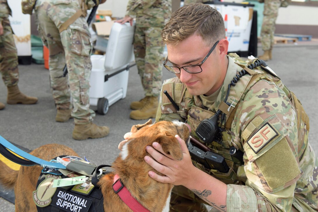 An airman kneels down to pet an emotional support dog.