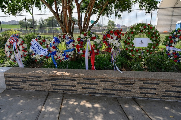 A row of wreaths is displayed in a row outside.