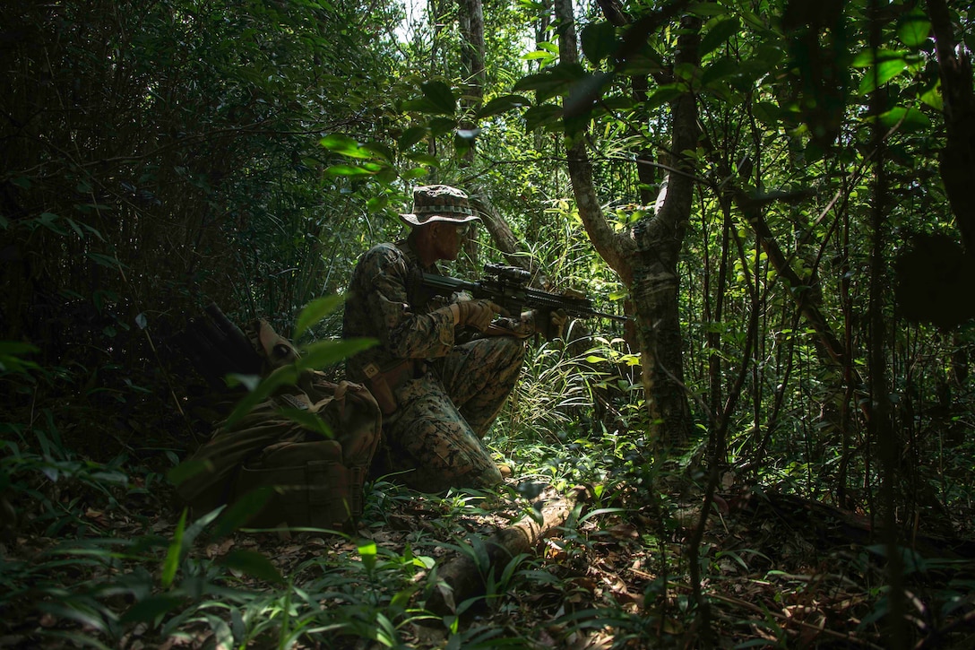 U.S. Marine Corps Lance Cpl. Jonathan Arreguinperez, a rifleman assigned to 2nd Battalion, 3rd Marines, 3rd Marine Division, sets security during Indo-Pacific Warfighting Exercise in the Northern Training Area on Okinawa, Japan, August 31, 2021. This force-on-force exercise demonstrated the ability to seize and defend key-maritime terrain and provided an opportunity to employ techniques to rapidly establish forward arming and refueling points. 2/3 is currently attached to 4th Marines as a part of the Unit Deployment Program. Arreguinperez is a native of San Francisco, California.