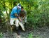 Alligators are common in the marshes of Barksdale’s eastern reservation and biannual controlled hunts ensure that their population does not get out of control.