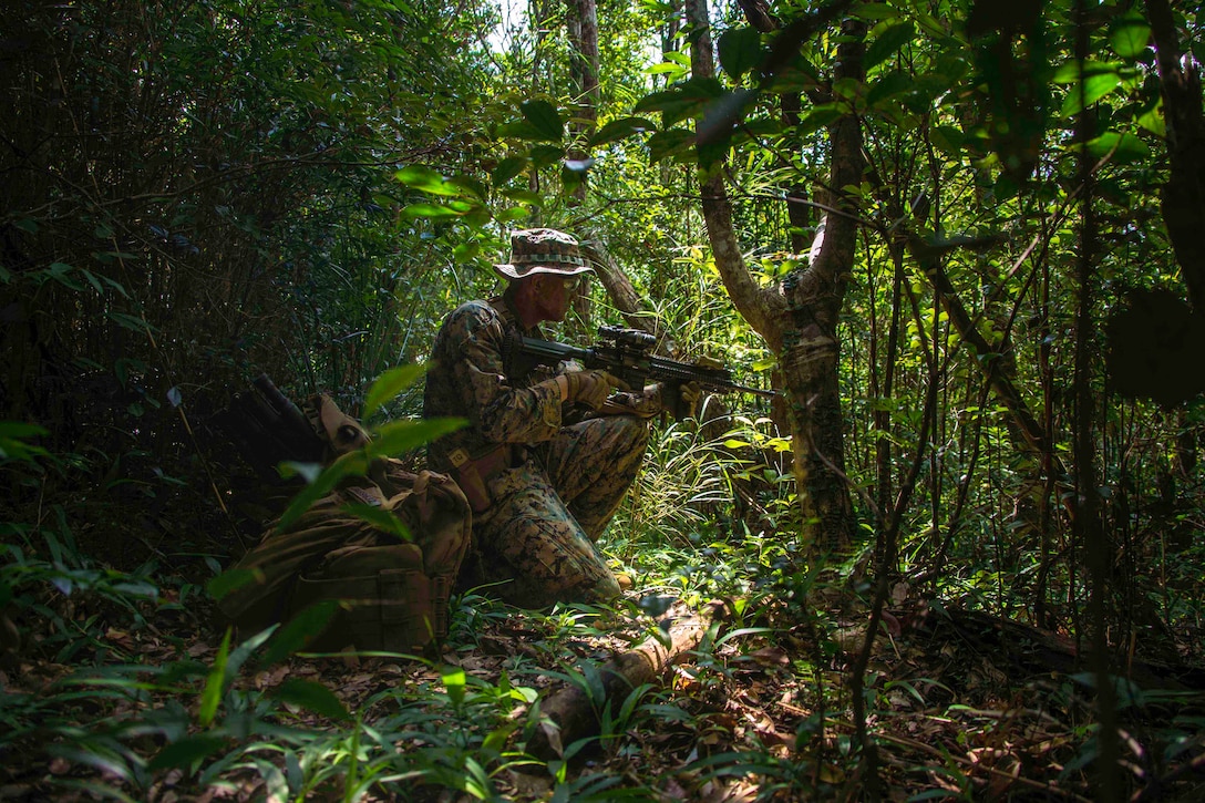 A Marine kneels in a wooded area while holding a weapon.
