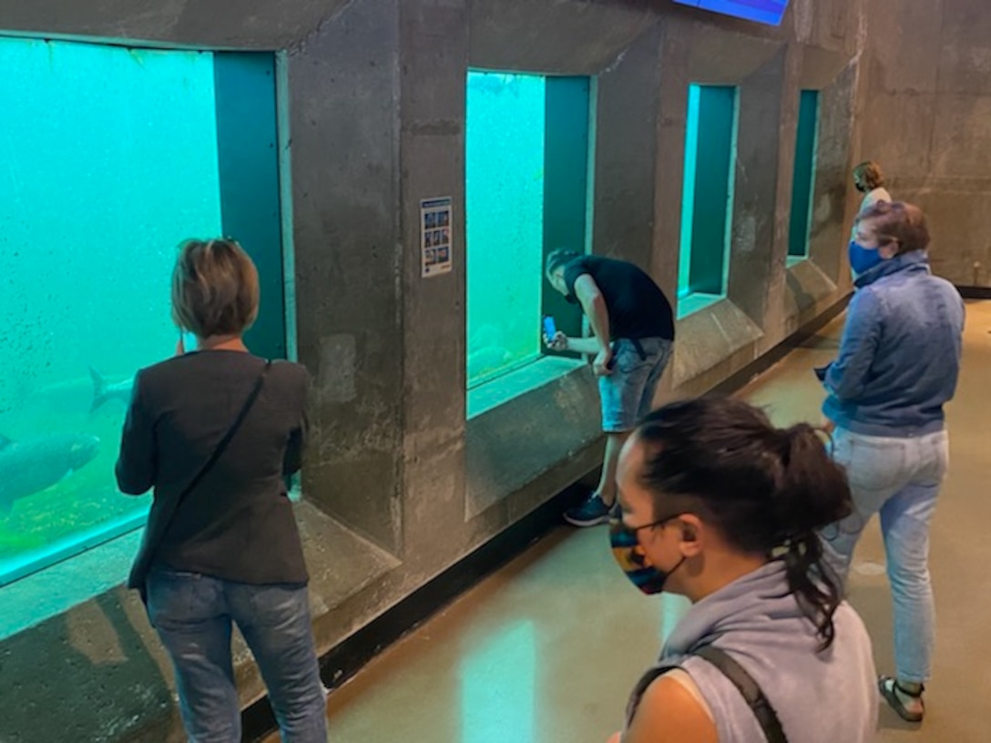 Photo of people touring the newly renovated fish ladder viewing room at the Lake Washington Ship Canal and Hiram M. Chittenden Locks, Aug. 16, 2021.