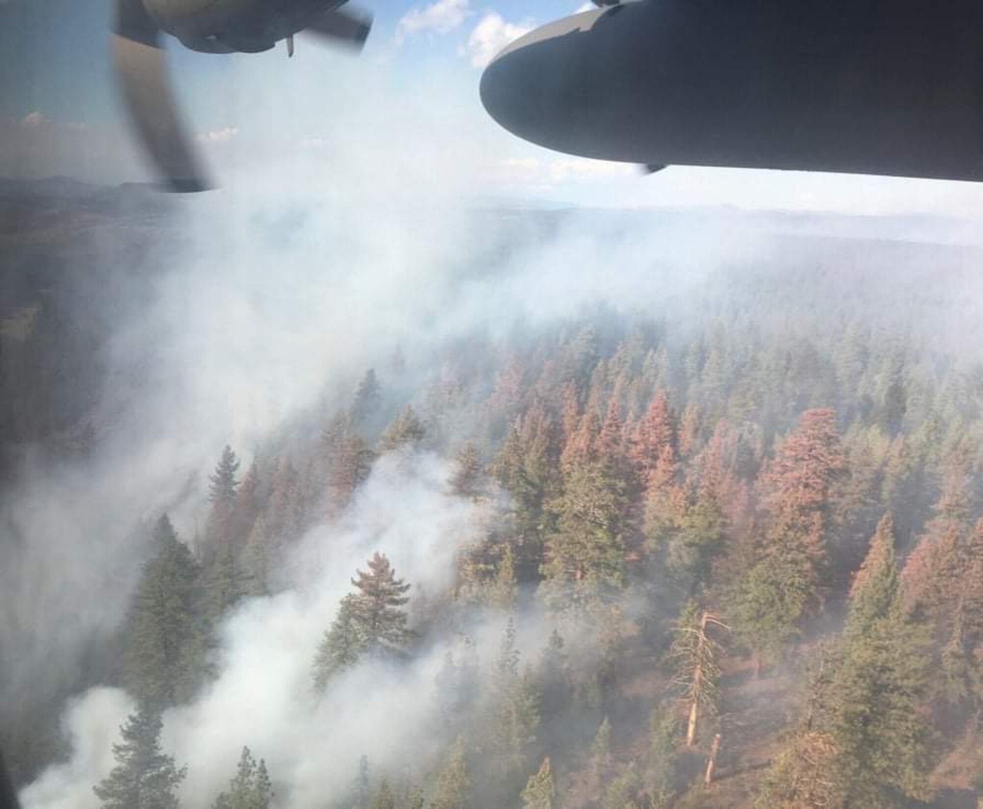 An aerial view of a smoky forest with a line of fire retardant covering a segment of trees.