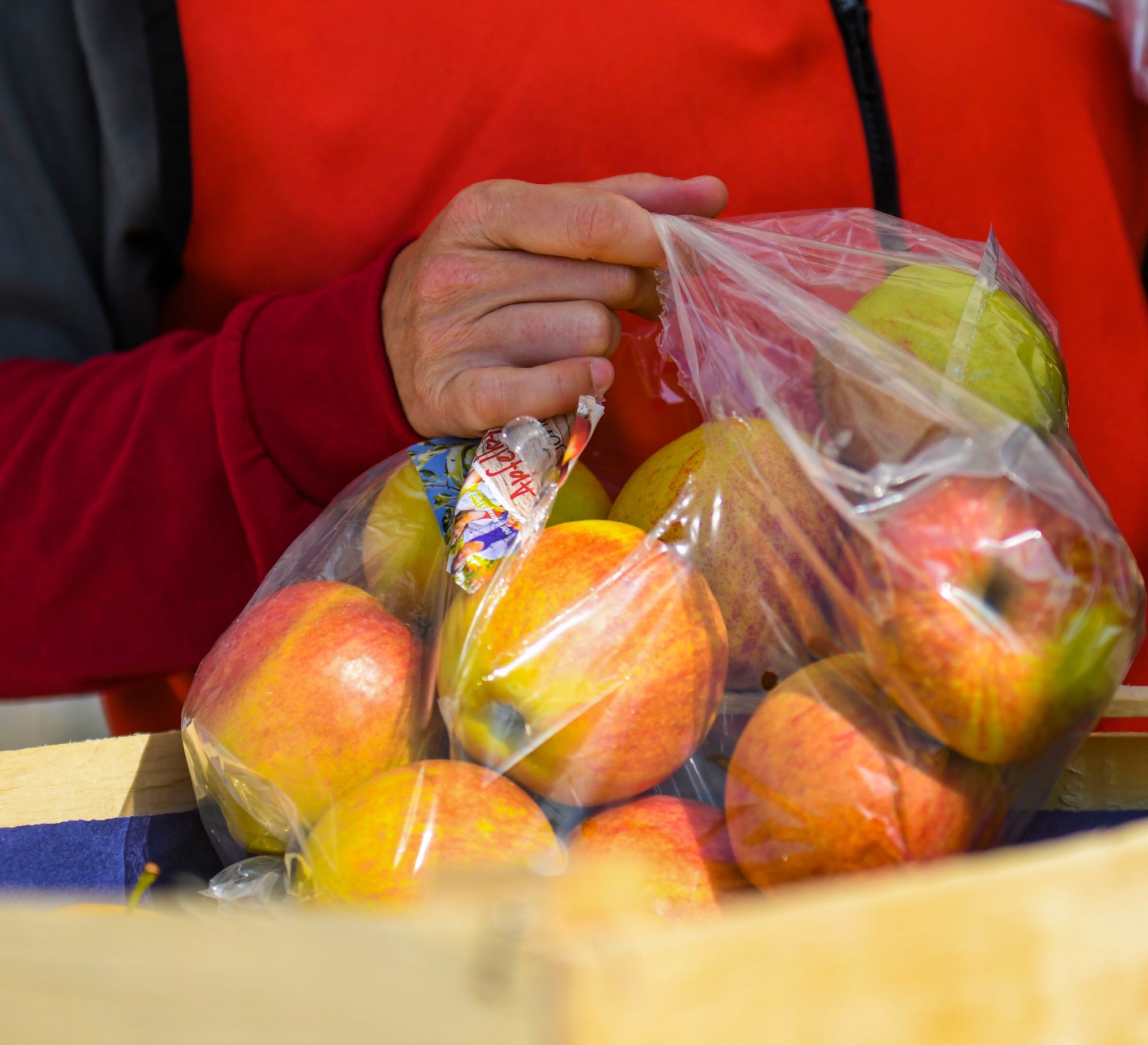 Volunteer holds food donations.