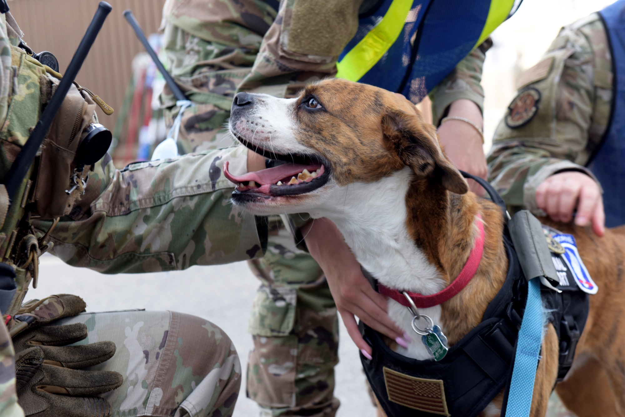 Airmen interact with emotional support dog.