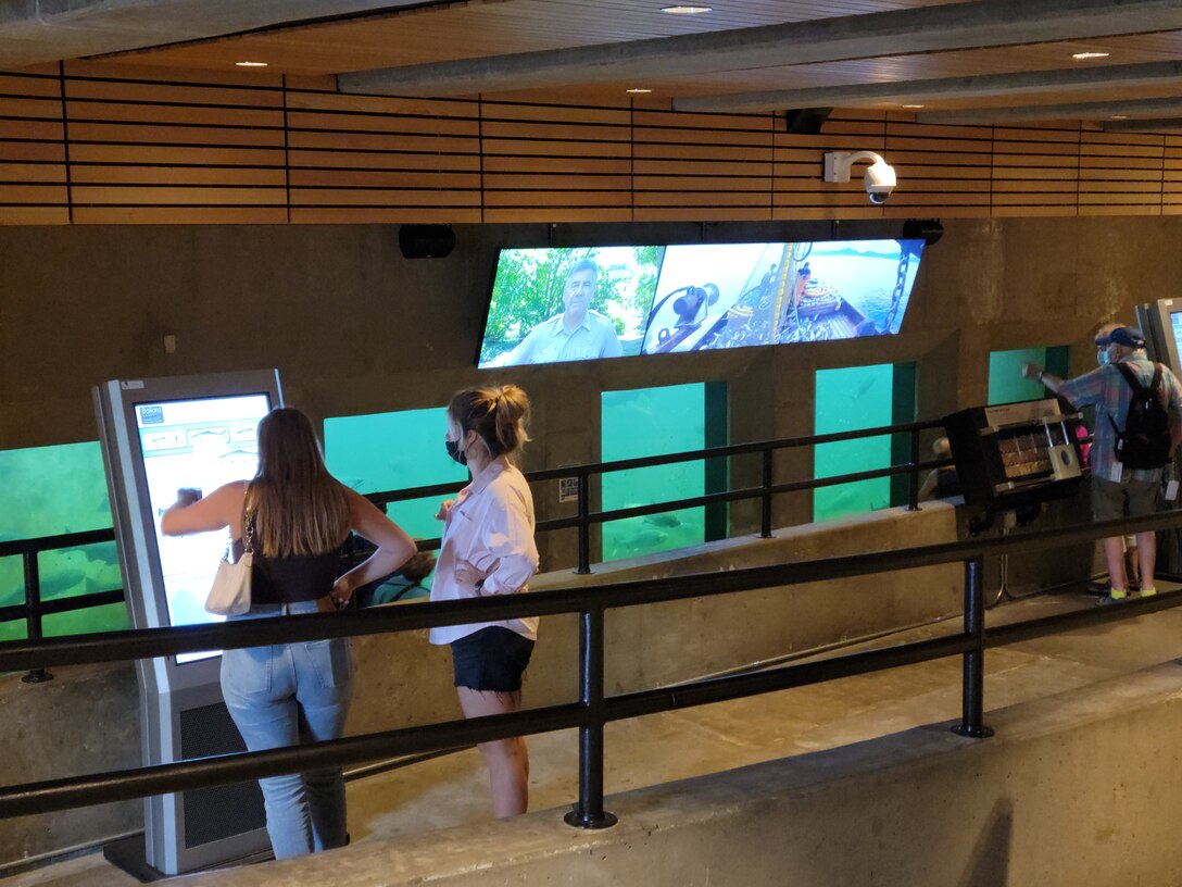 Photo of people using one of the interactive touchscreen monitors in the renovated fish ladder viewing room, at Lake Washington Ship Canal and Hiram M. Chittenden Locks, Seattle.