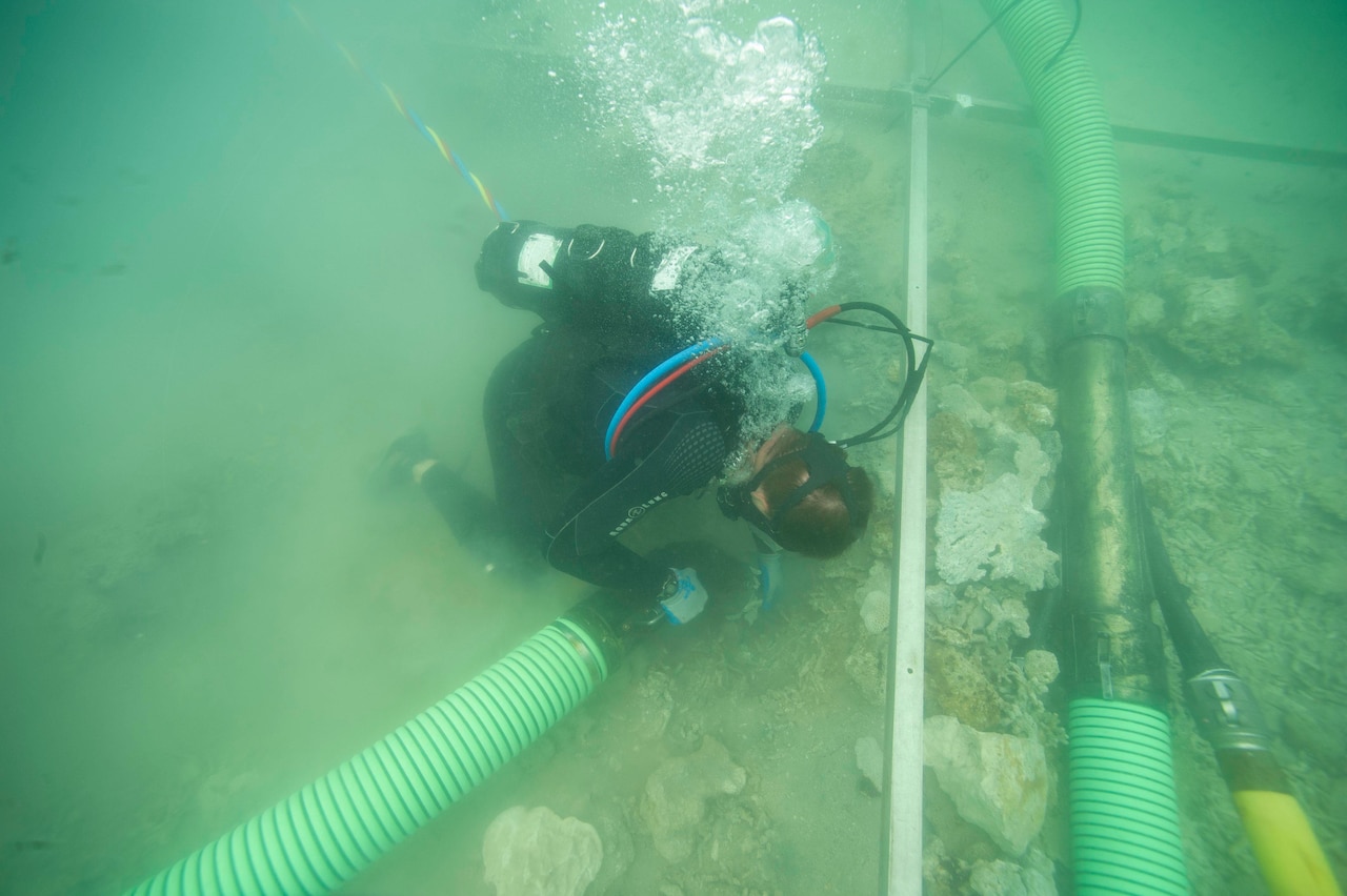 A diver searches the sea floor.