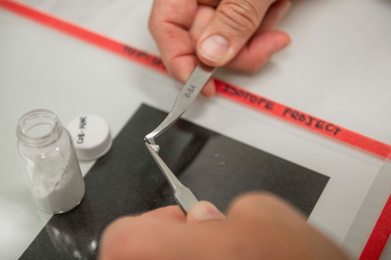 A pair of hands holds a small specimen with tweezers.